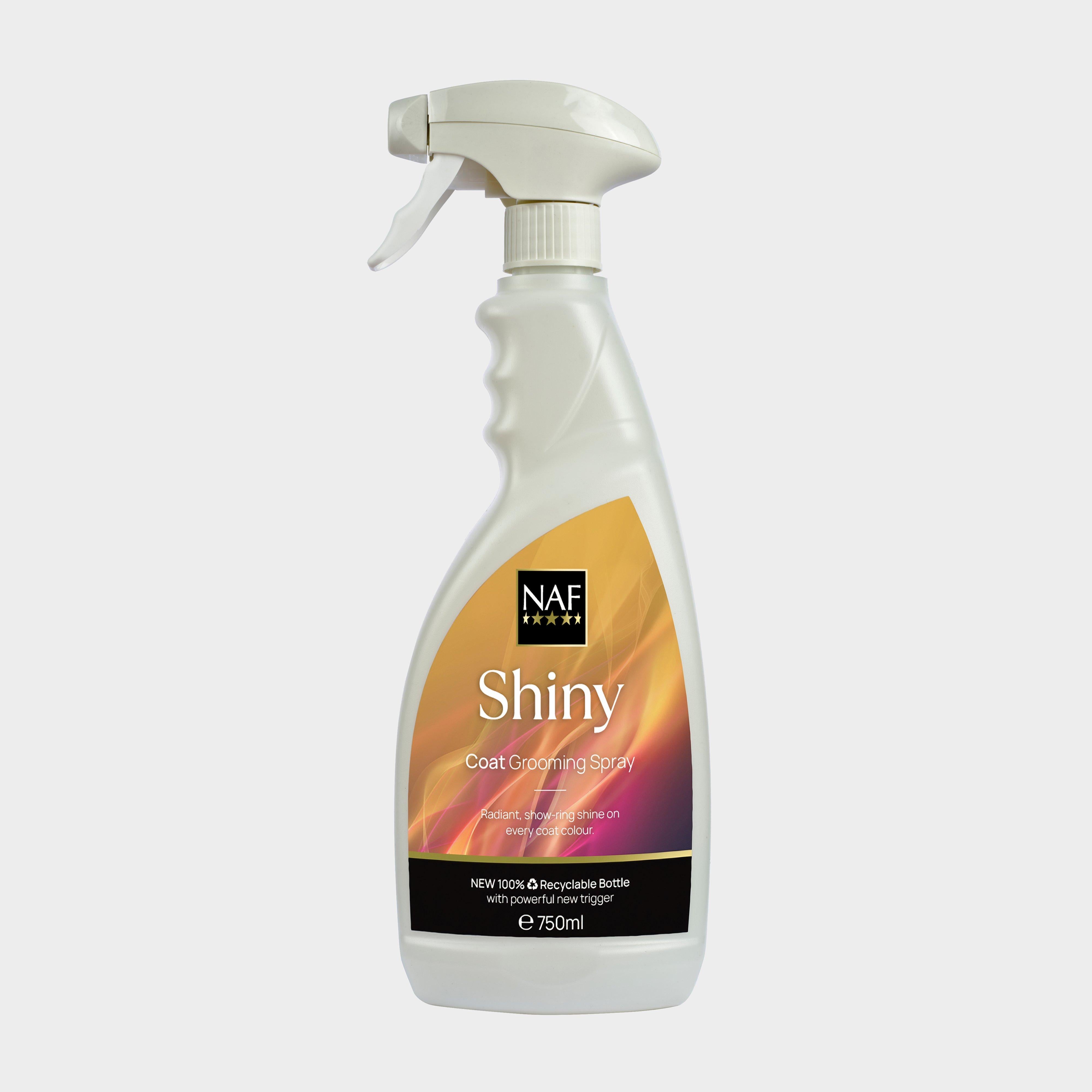 Shiny Spray 750ml
