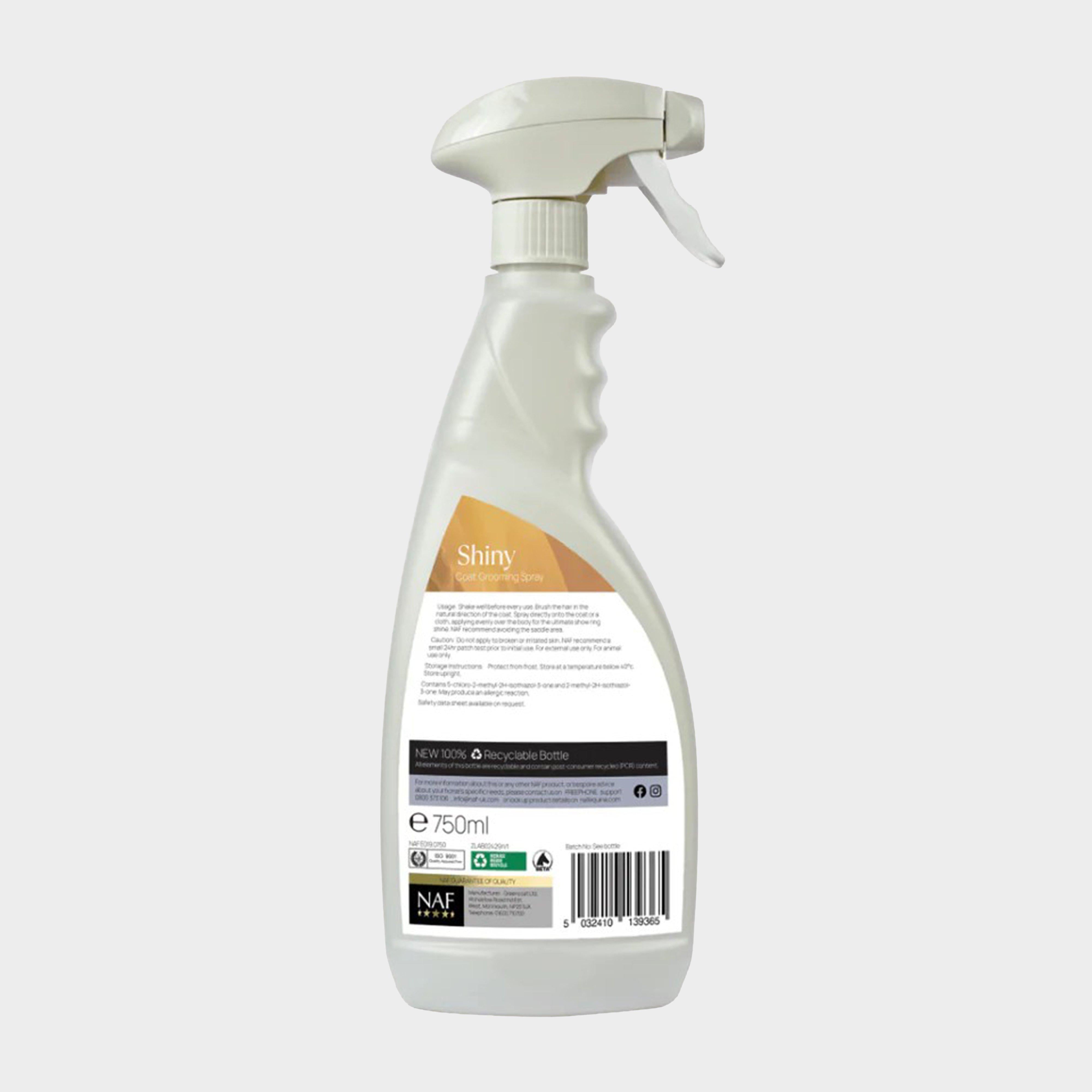 Shiny Spray 750ml