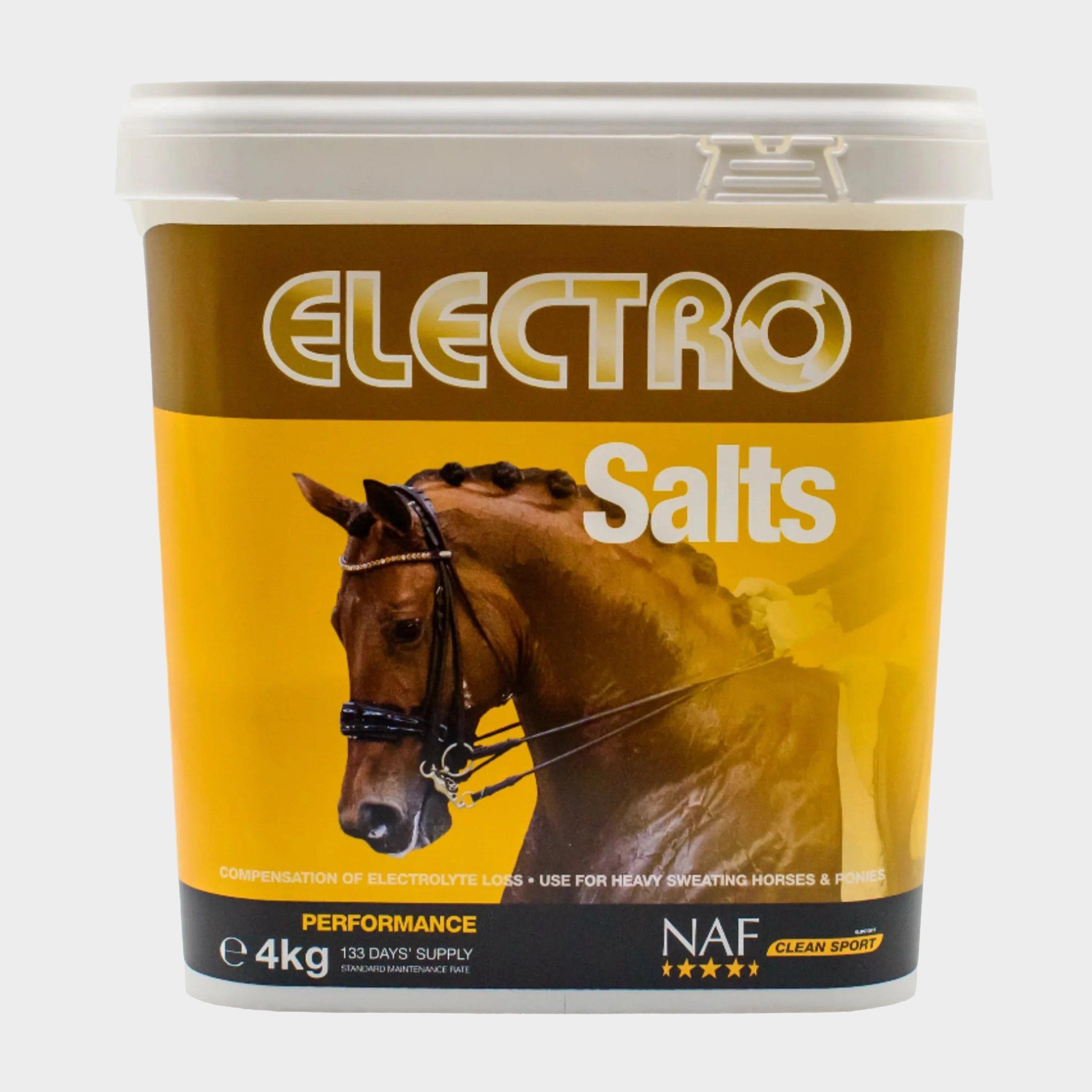 Electro Salts 4kg