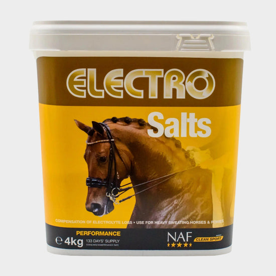 Electro Salts 4kg