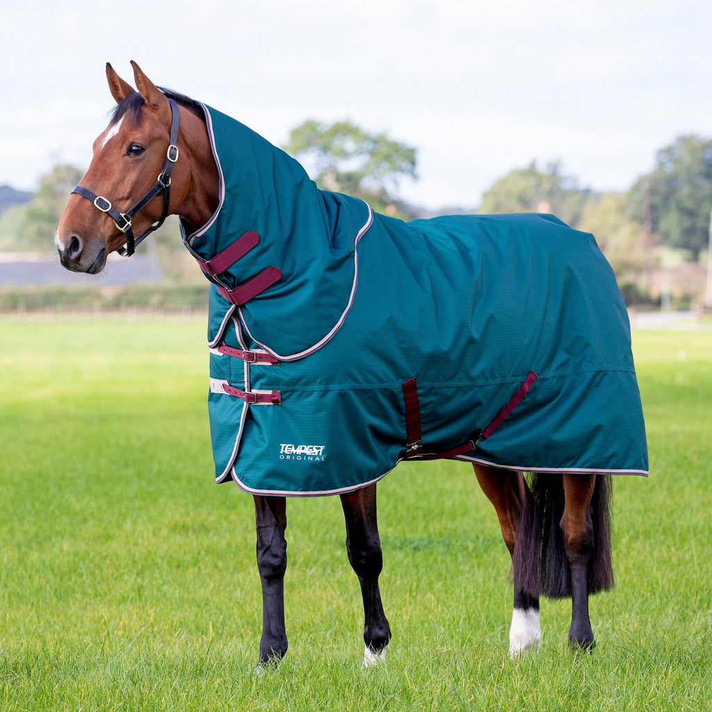 Tempest Original Turnout Rug & Neck 200g