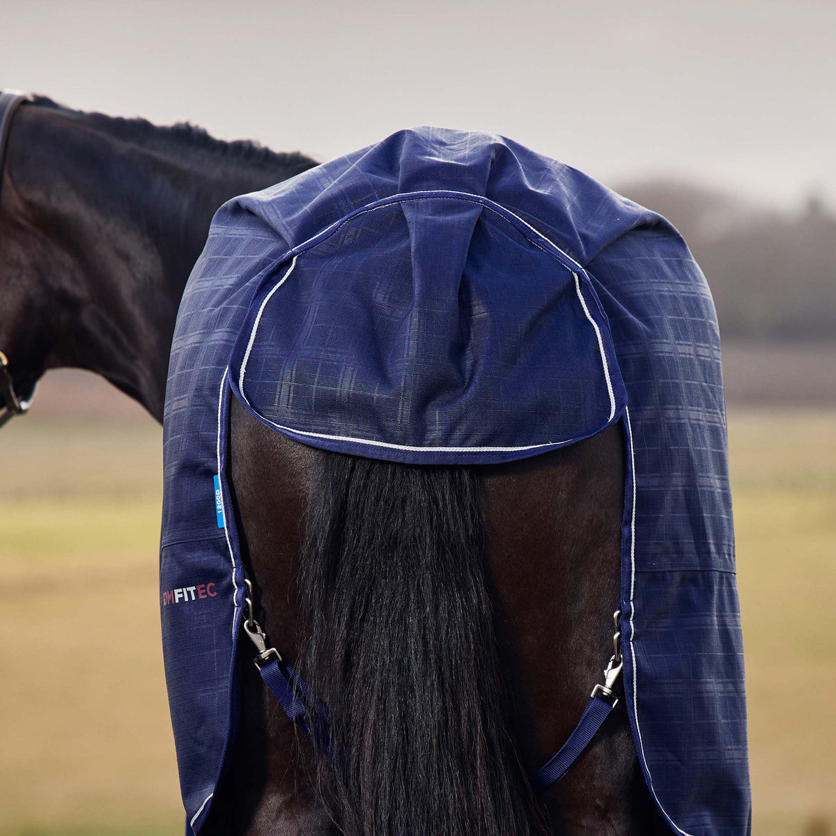 ComFiTec Prelim Turnout Rug 100G