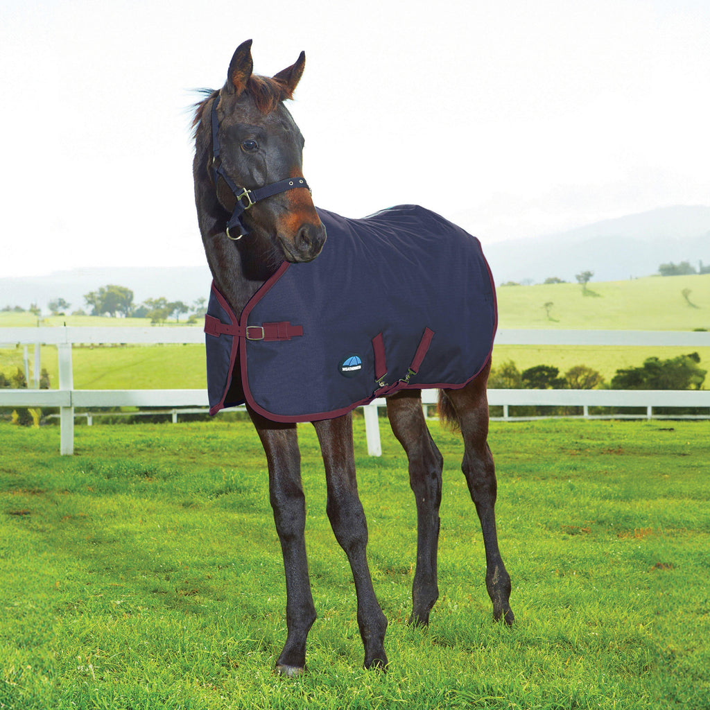 1200D Foal Standard Neck Rug 220G