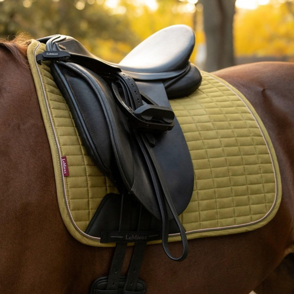 Suede Dressage Square