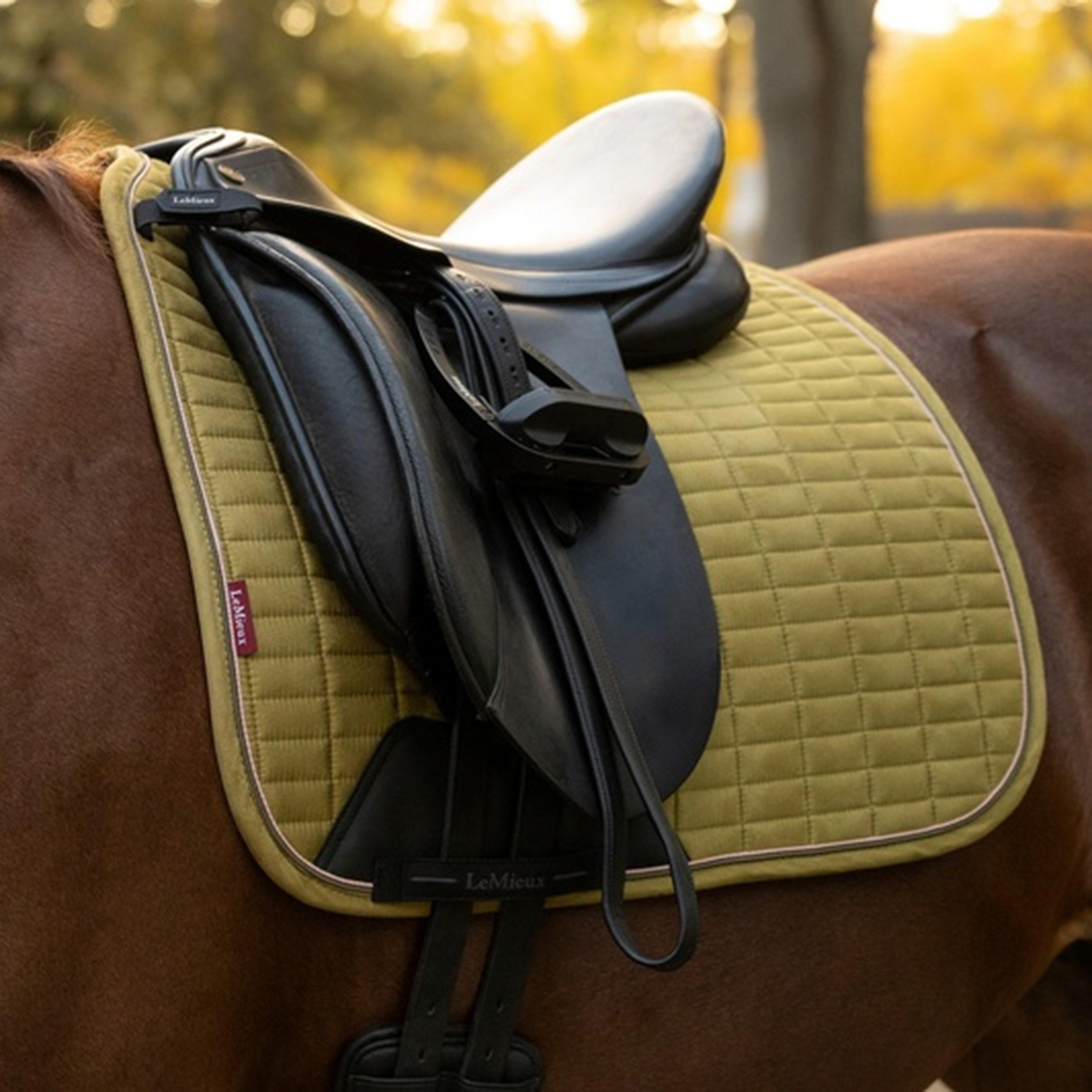 Suede Dressage Square
