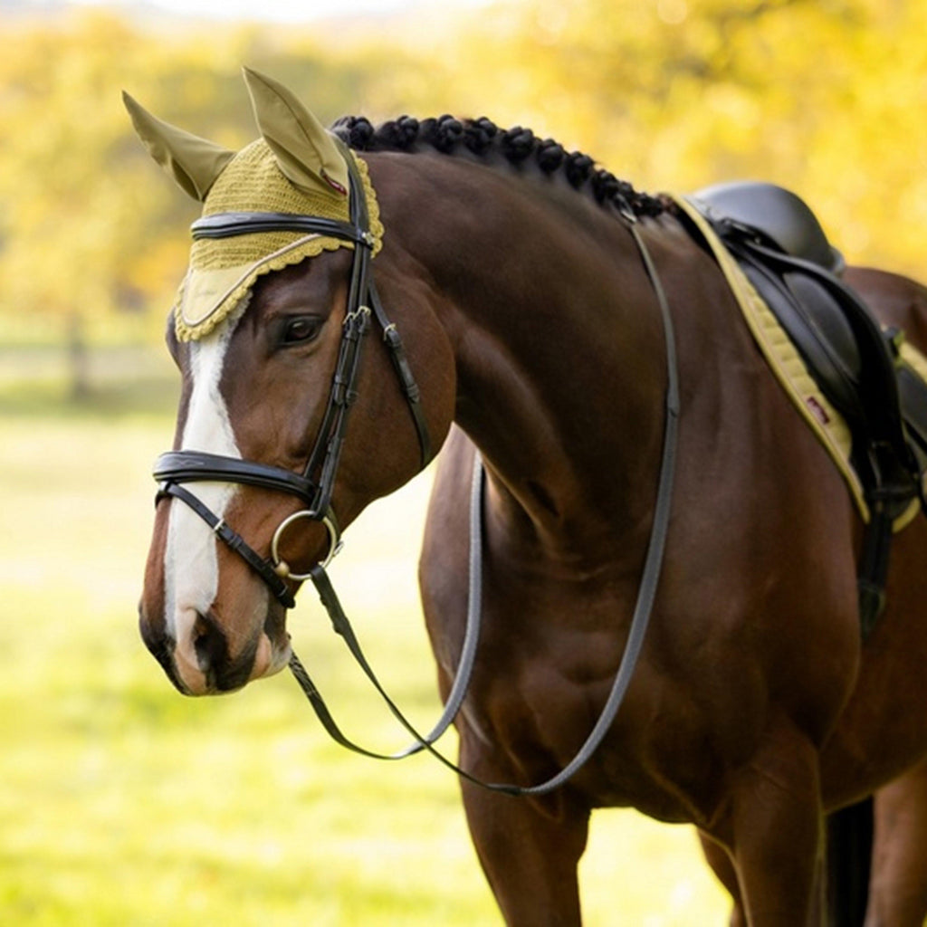Classic Fly Hood