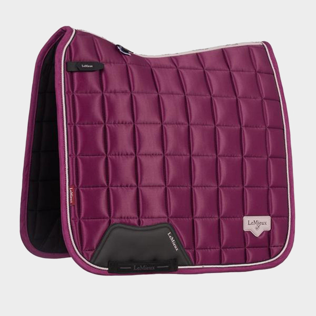 Loire Classic Dressage Square