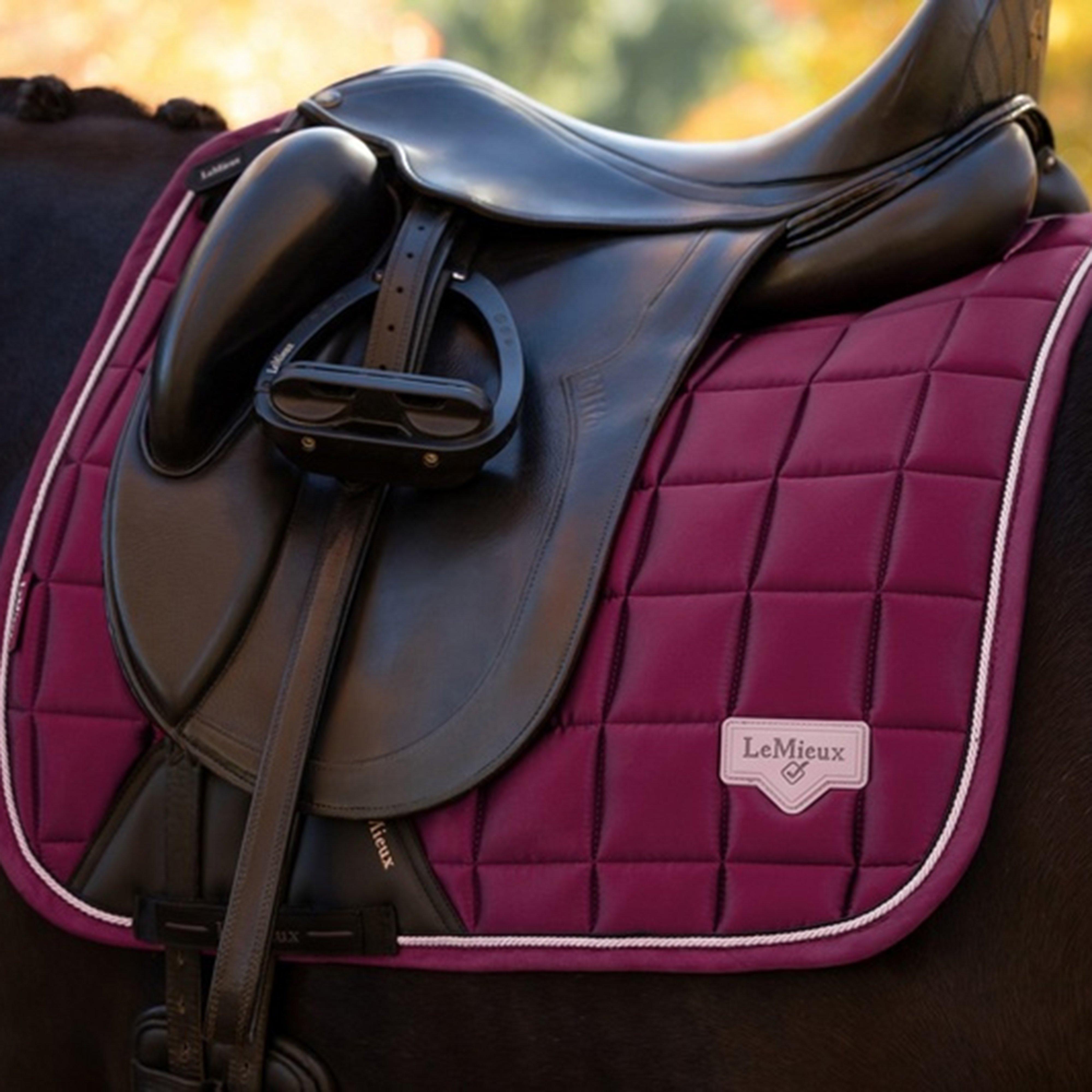 Loire Classic Dressage Square
