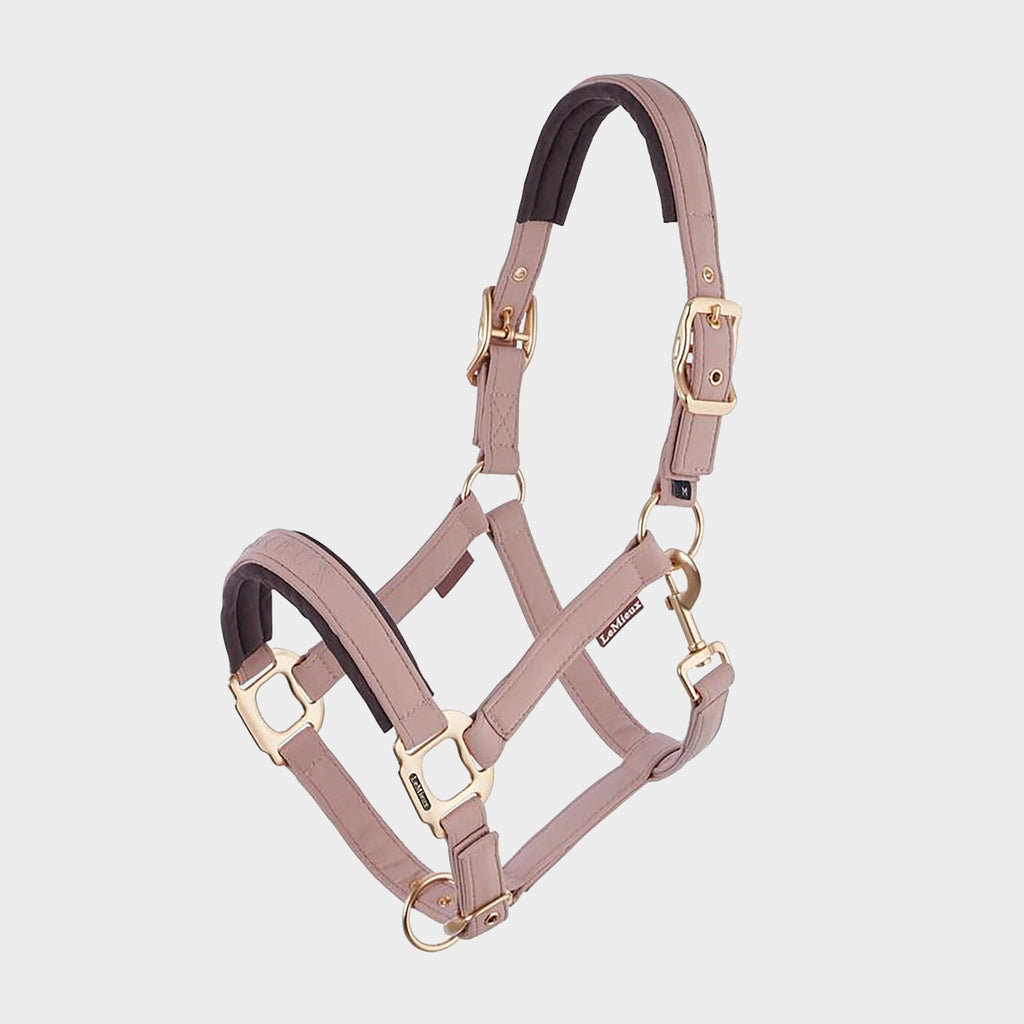 Essence Head Collar