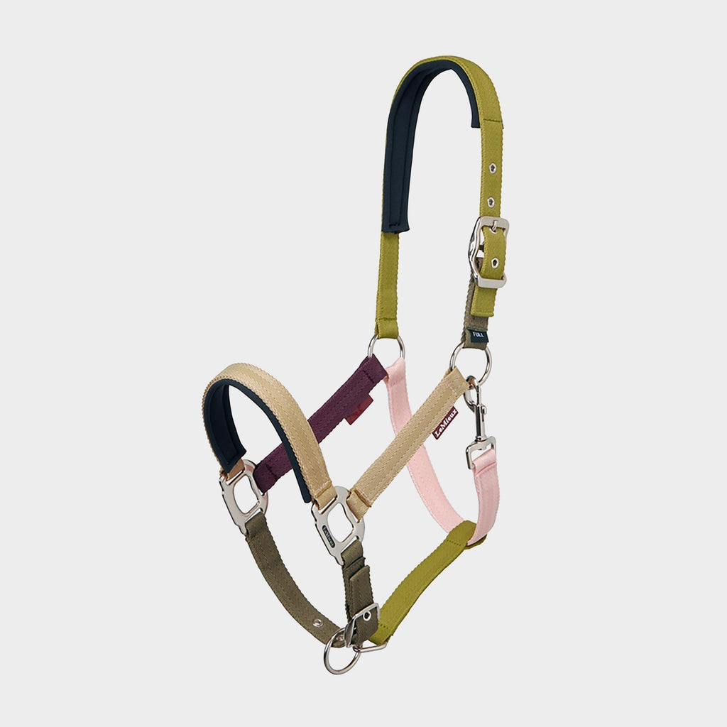 Medley Headcollar