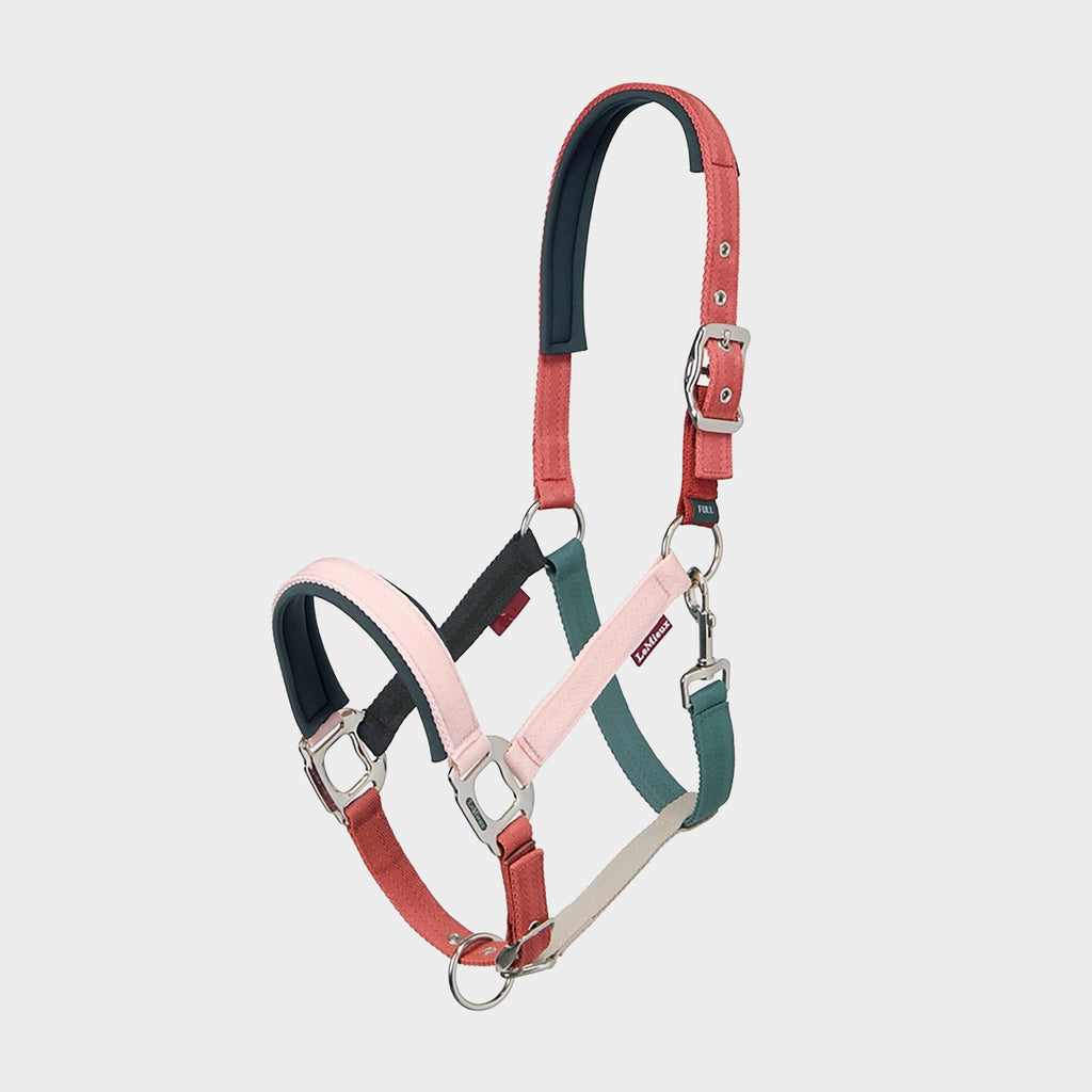 Medley Headcollar