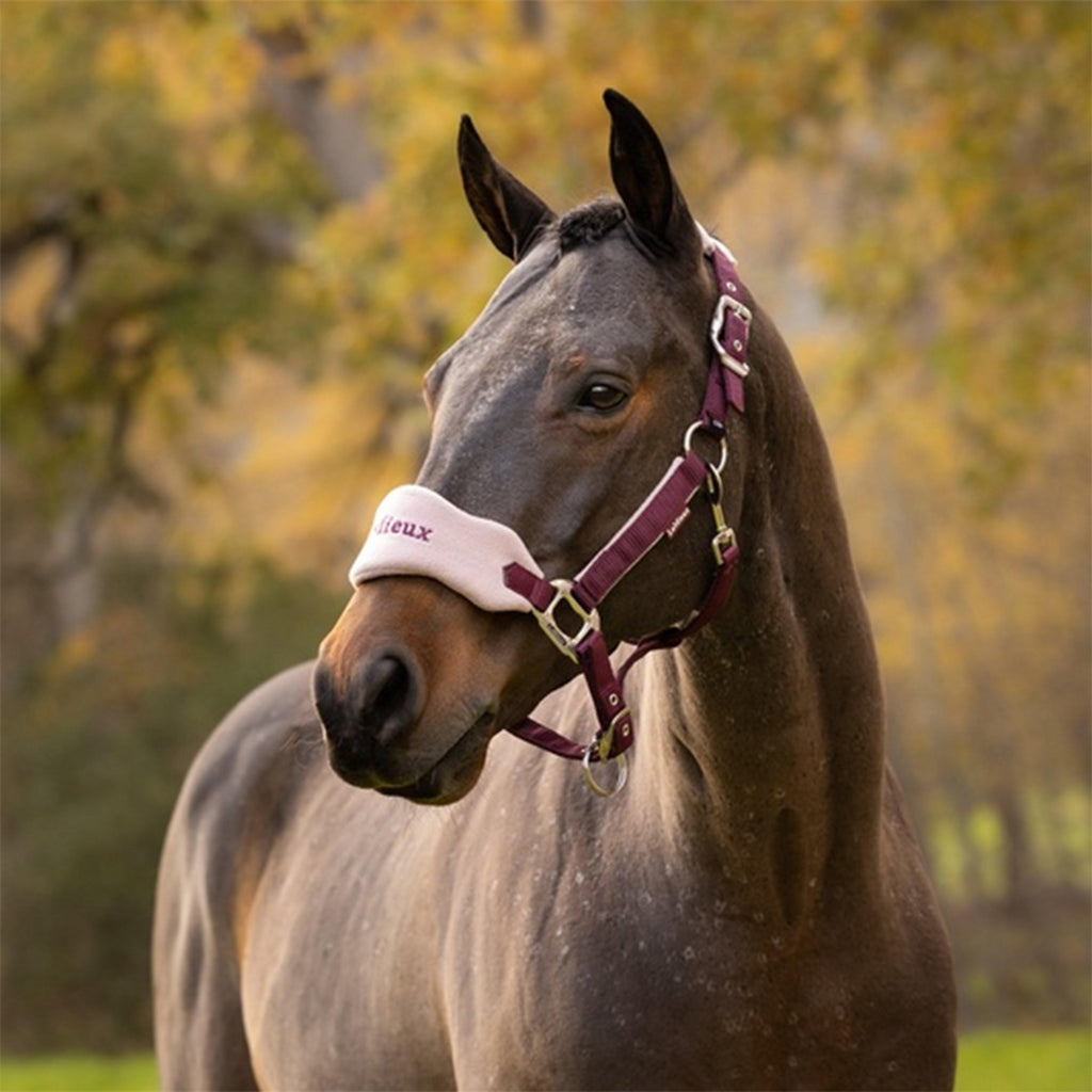 Vogue Headcollar & Leadrope