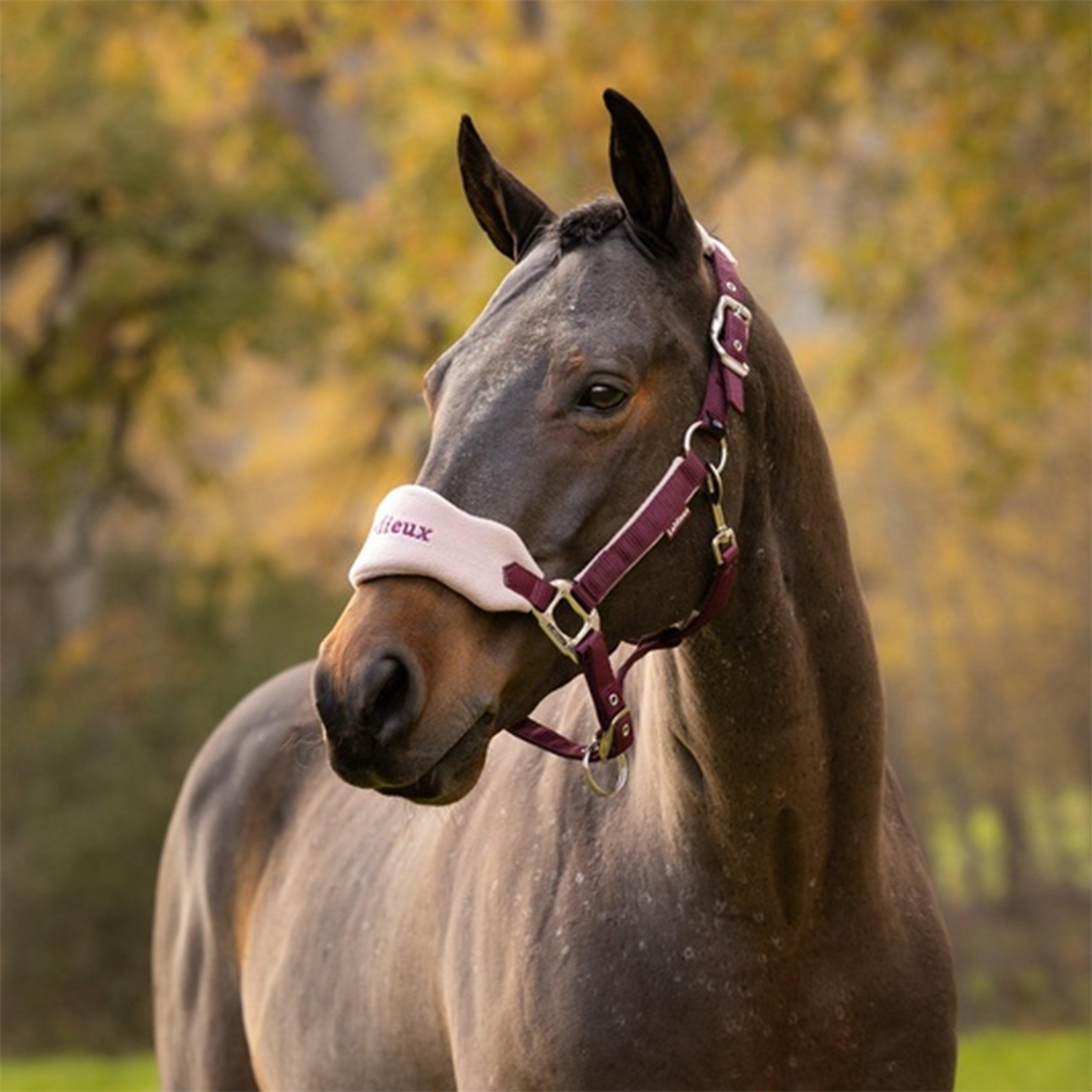 Vogue Headcollar & Leadrope