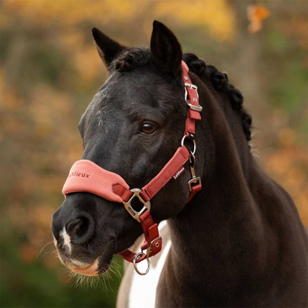 Vogue Headcollars & Leadrope