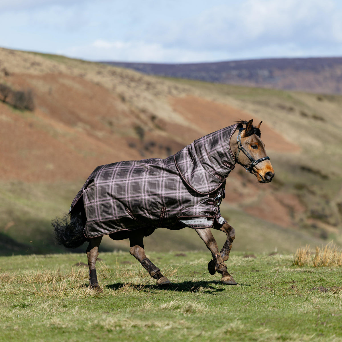 Arika Check Turnout Rug 100G