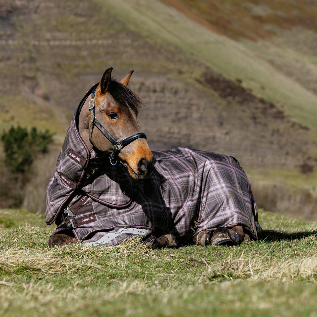Arika Check Turnout Rug 100G