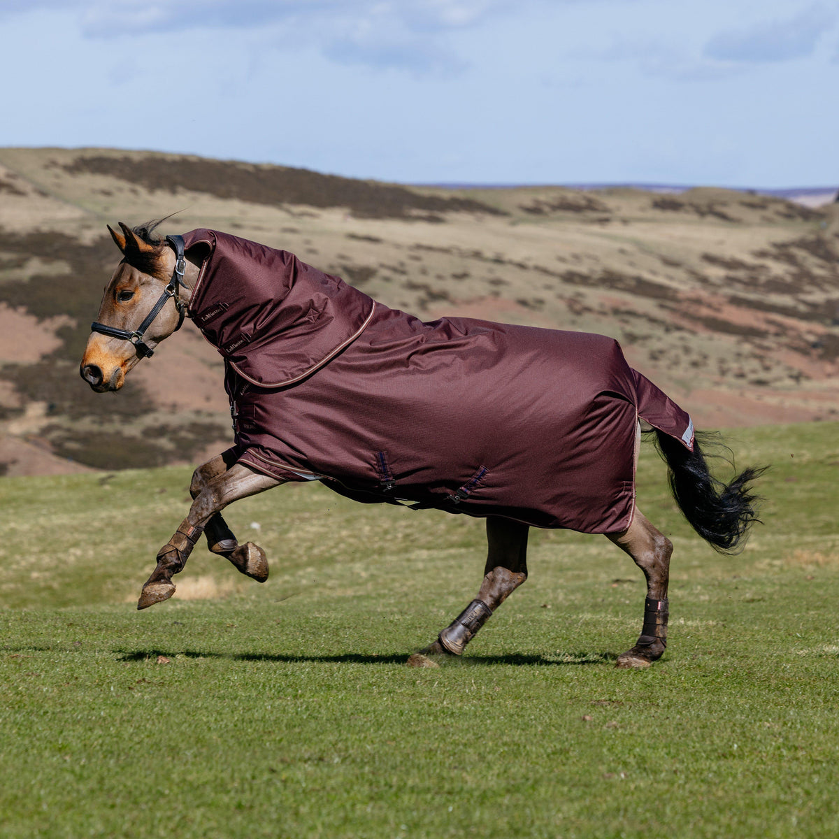 Arika Ripstop Turnout Rug 200g