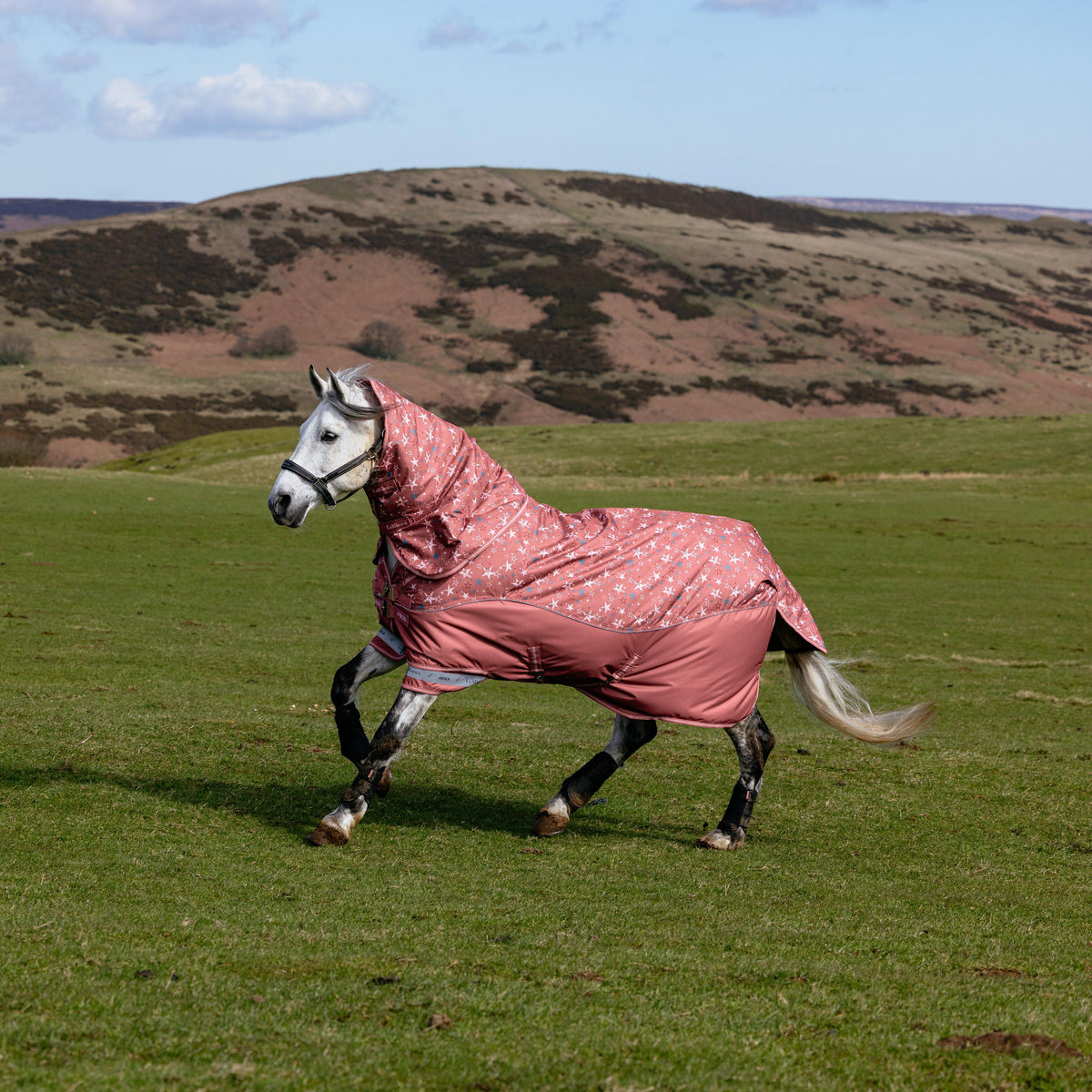 Arika Star Turnout Rug