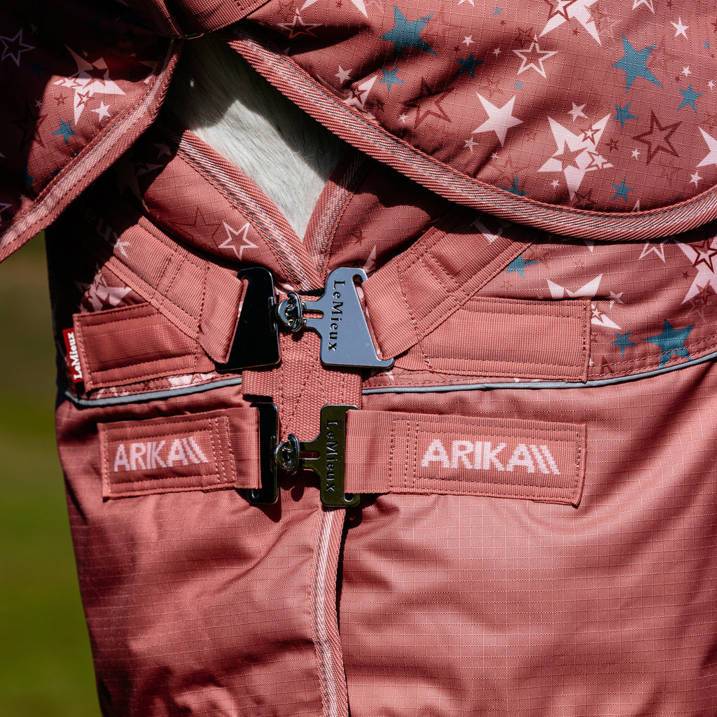 Arika Star Turnout Rug