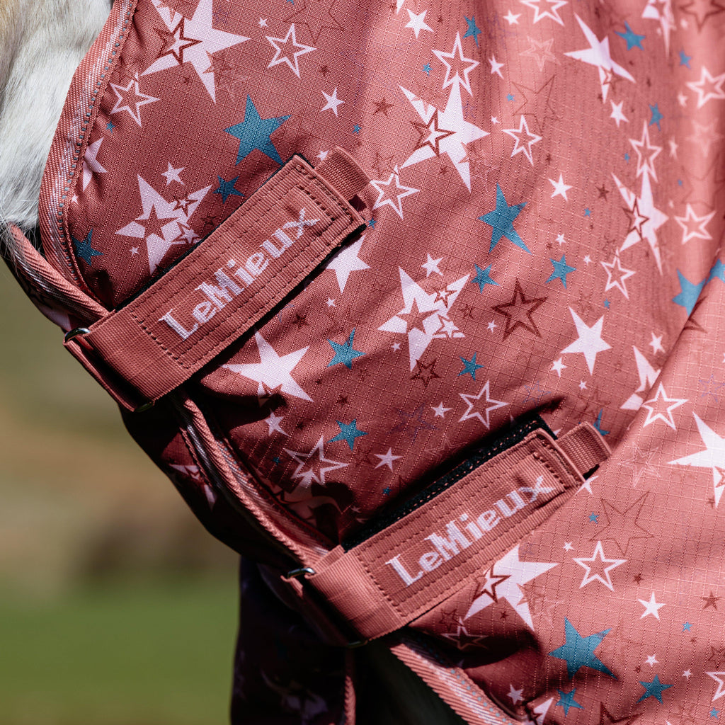 Arika Star Turnout Rug