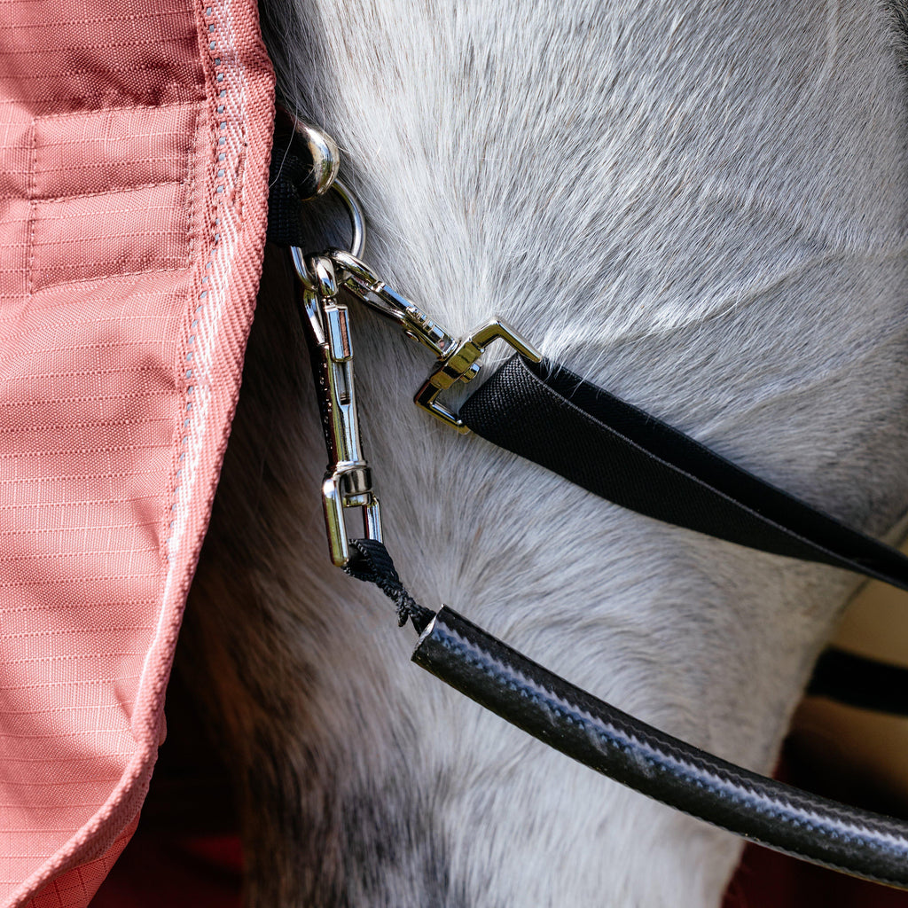 Arika Star Turnout Rug