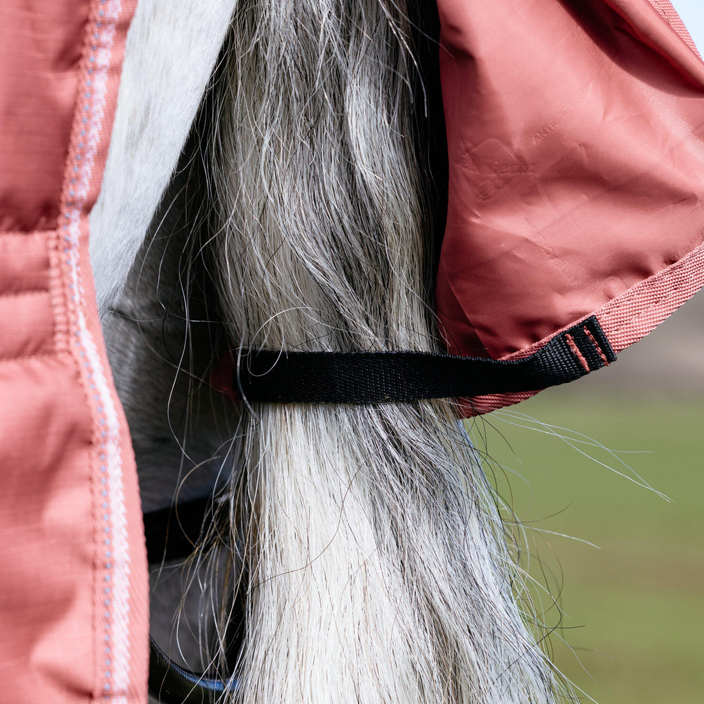 Arika Star Turnout Rug