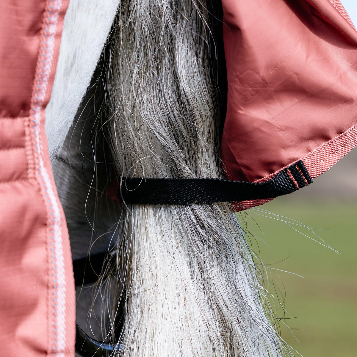 Arika Star Turnout Rug