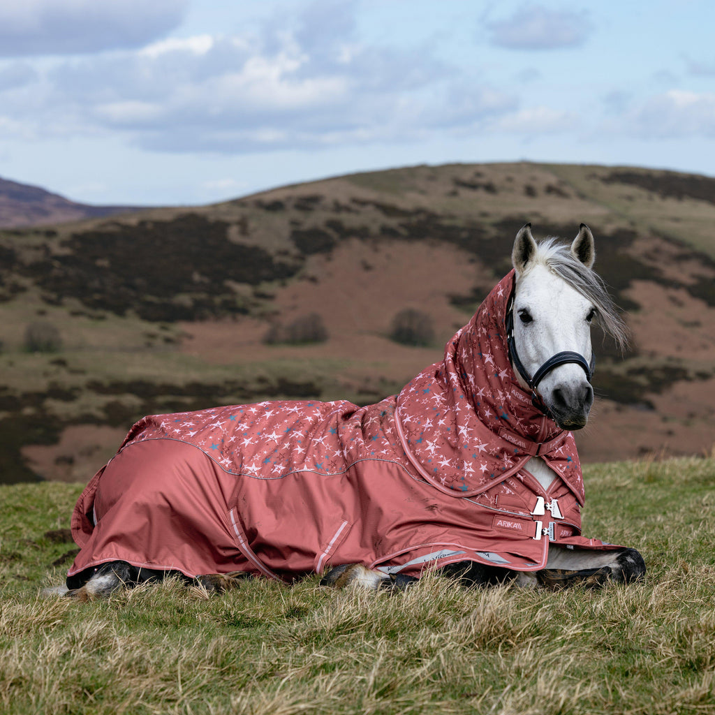 Arika Star Turnout Rug