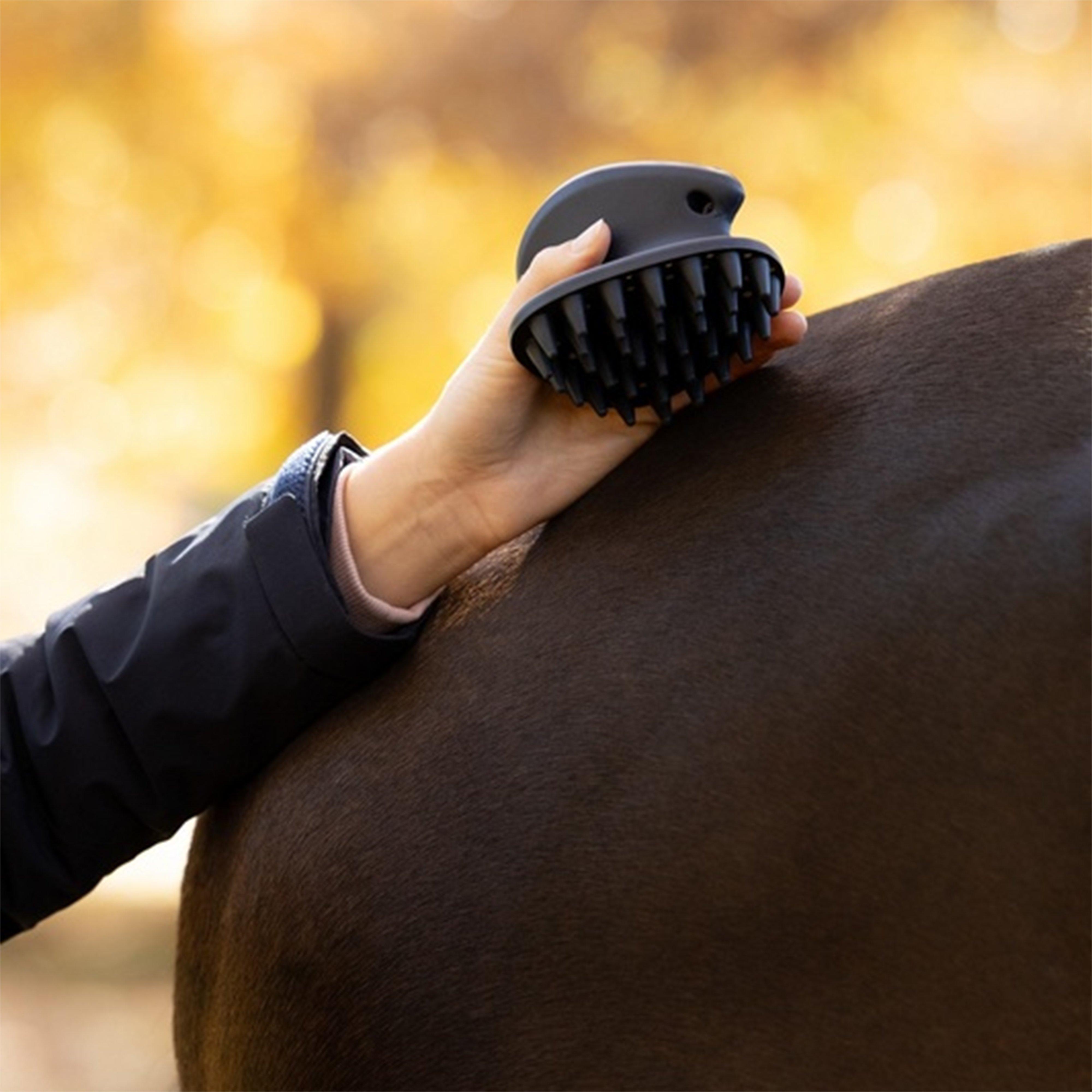 Massage Brush