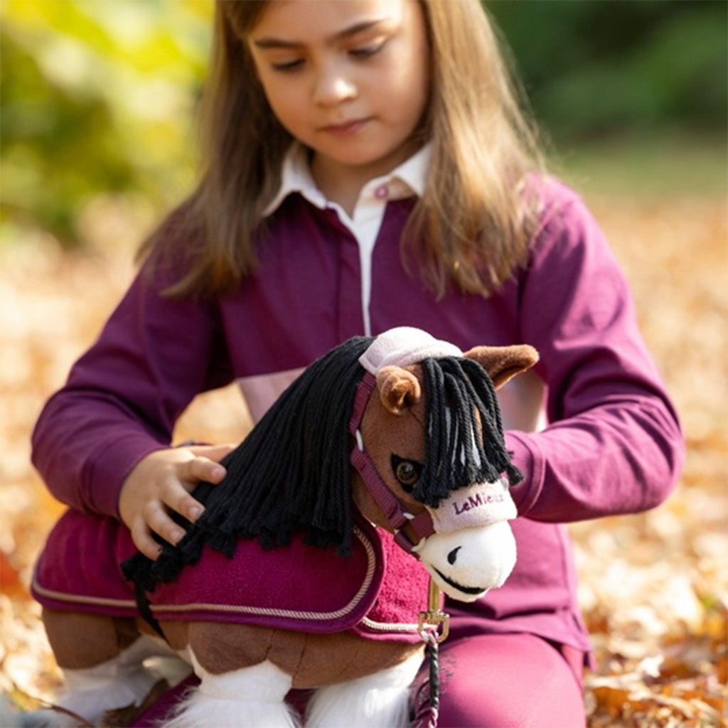 Toy Pony Titan
