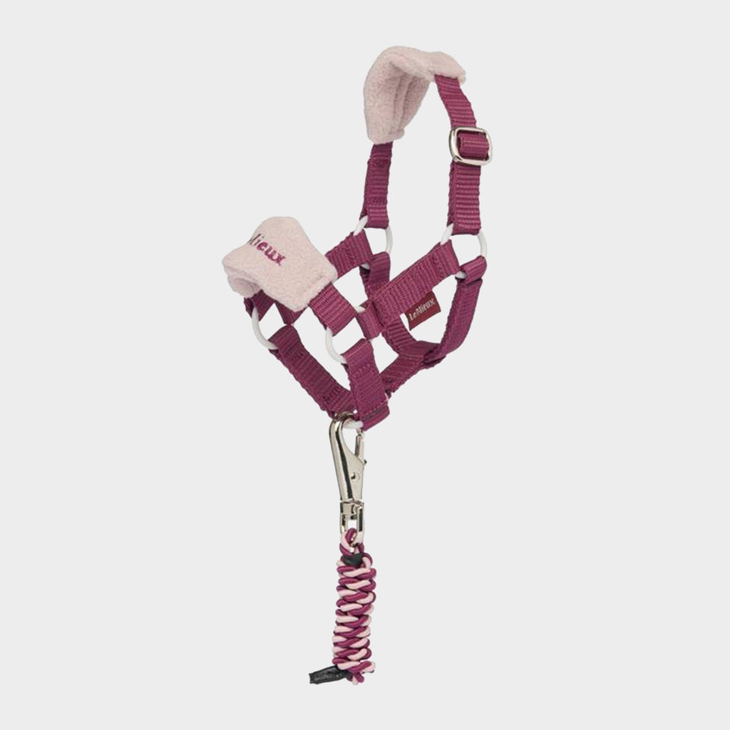 Toy Pony Vogue Headcollar & Leadrope