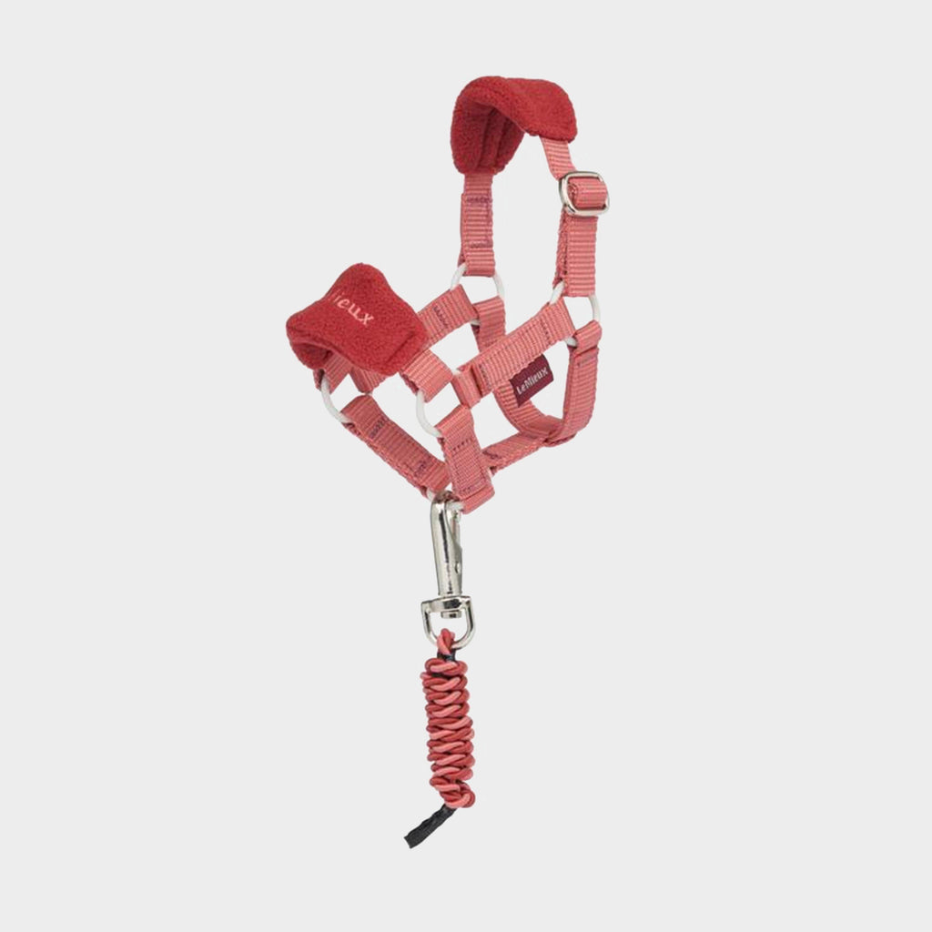 Toy Pony Vogue Headcollar & Leadrope