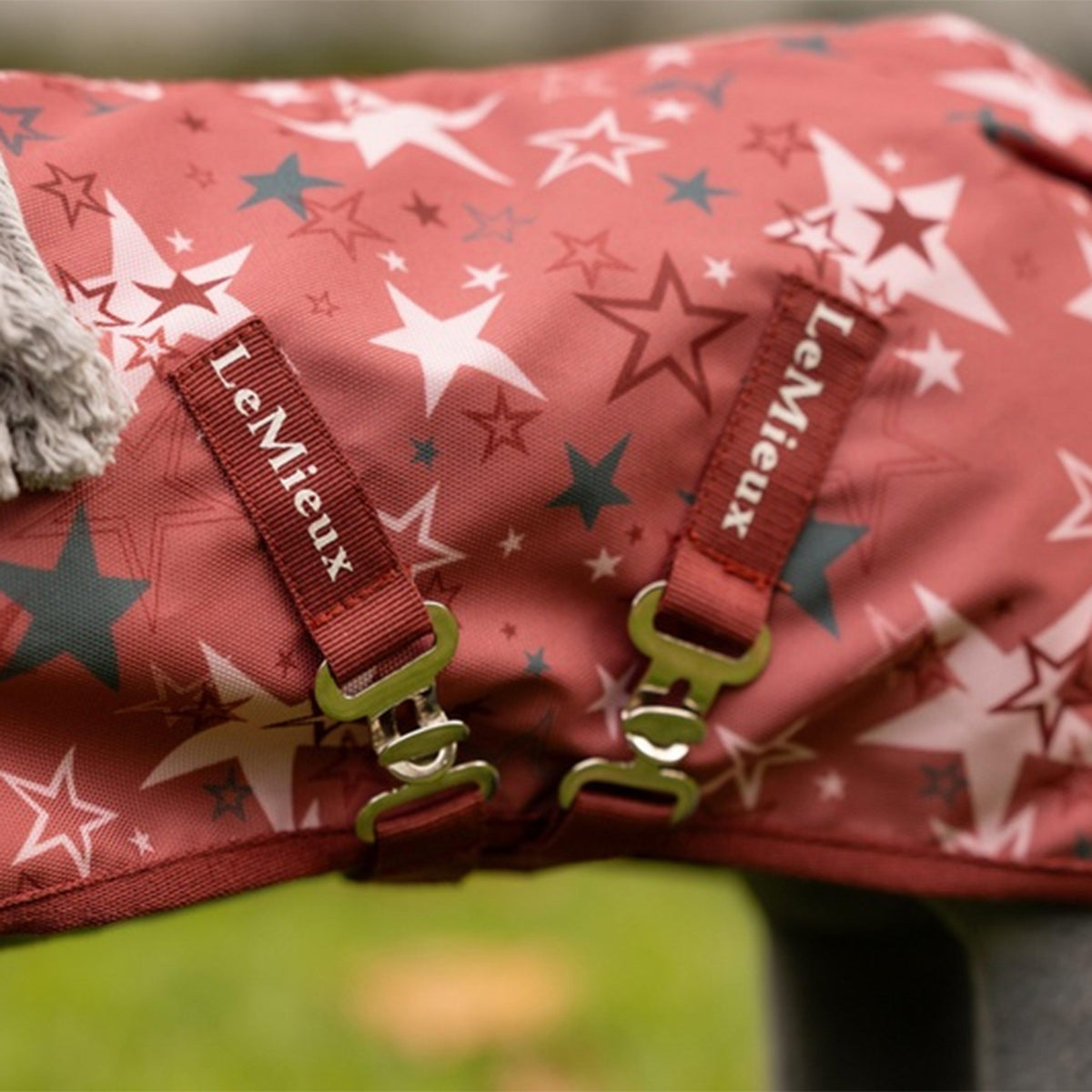Toy Pony Printed Turnout Rug
