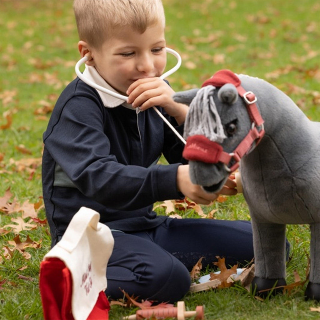 Toy Pony Vet Set