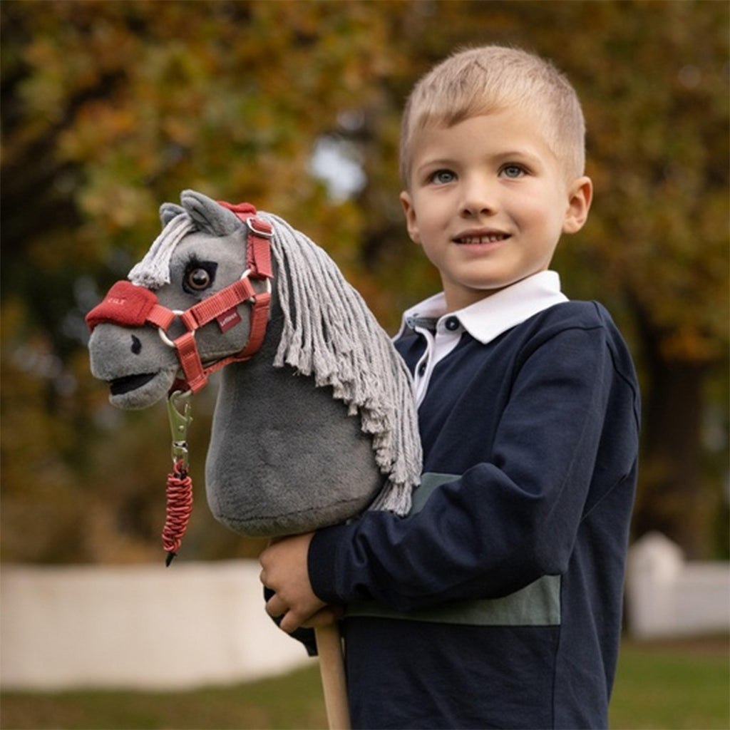 Hobby Horse Mini