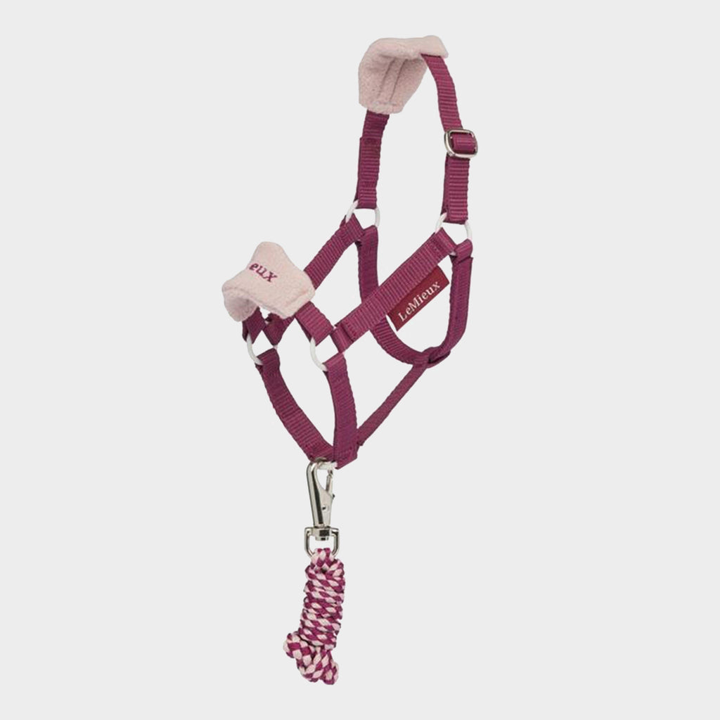 Hobby Horse Vogue Headcollar & Leadropes
