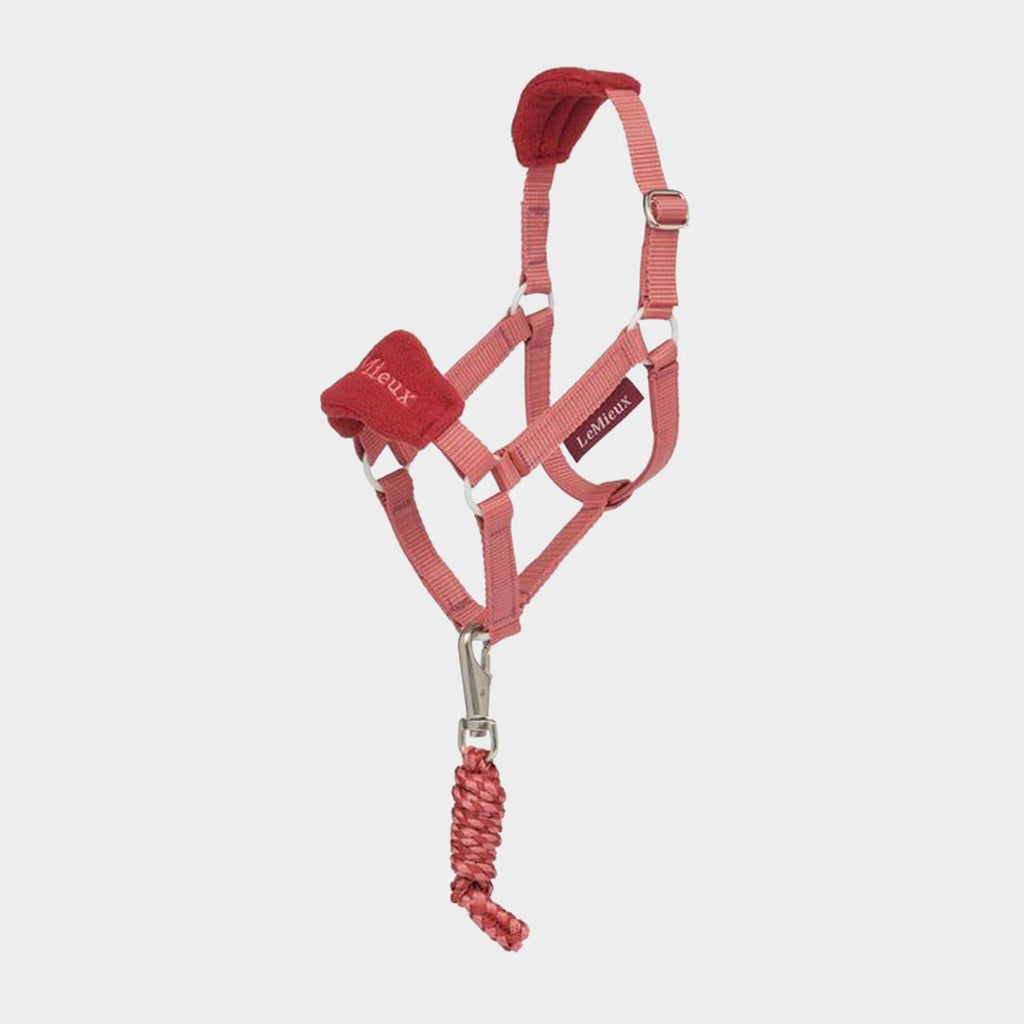 Hobby Horse Vogue Headcollar & Leadropes