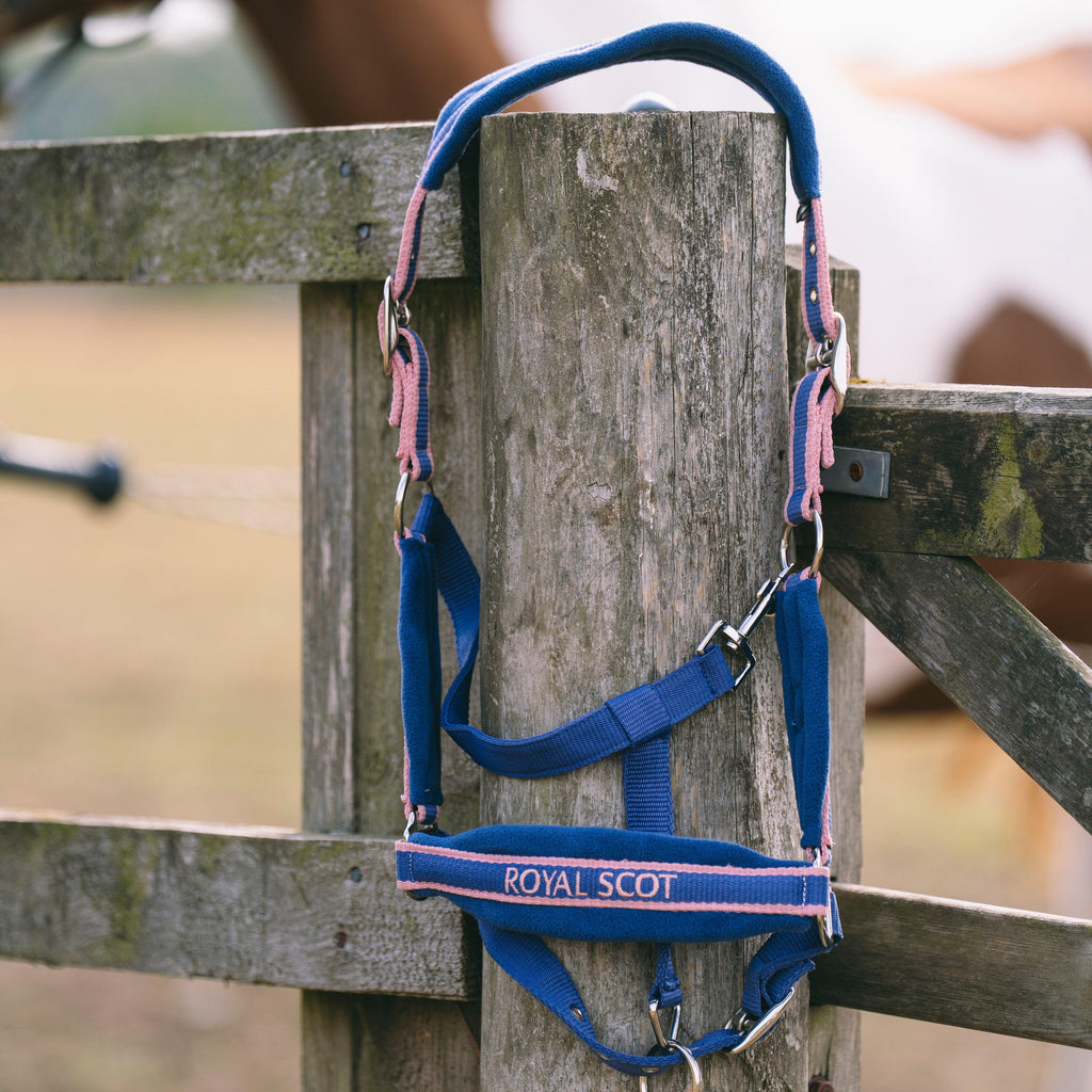 Padded Headcollar