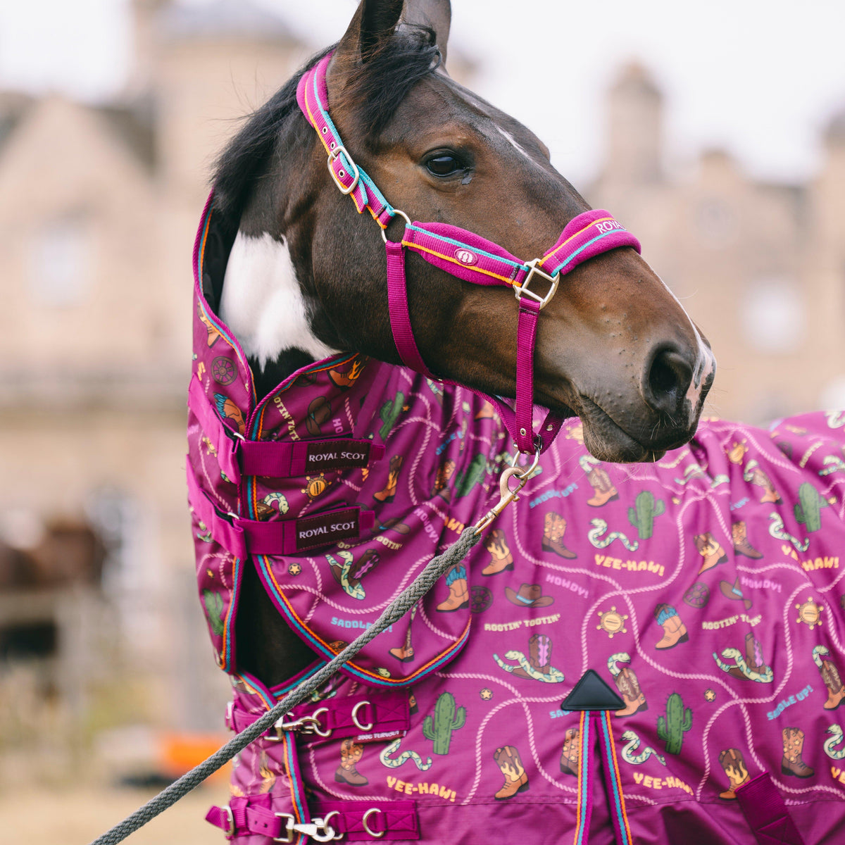 Padded Headcollar