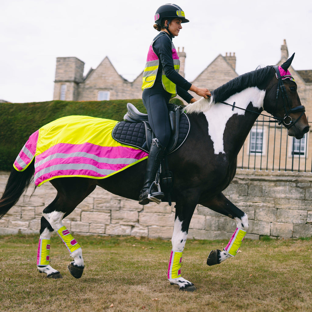 Hi-Viz Exercise Sheet