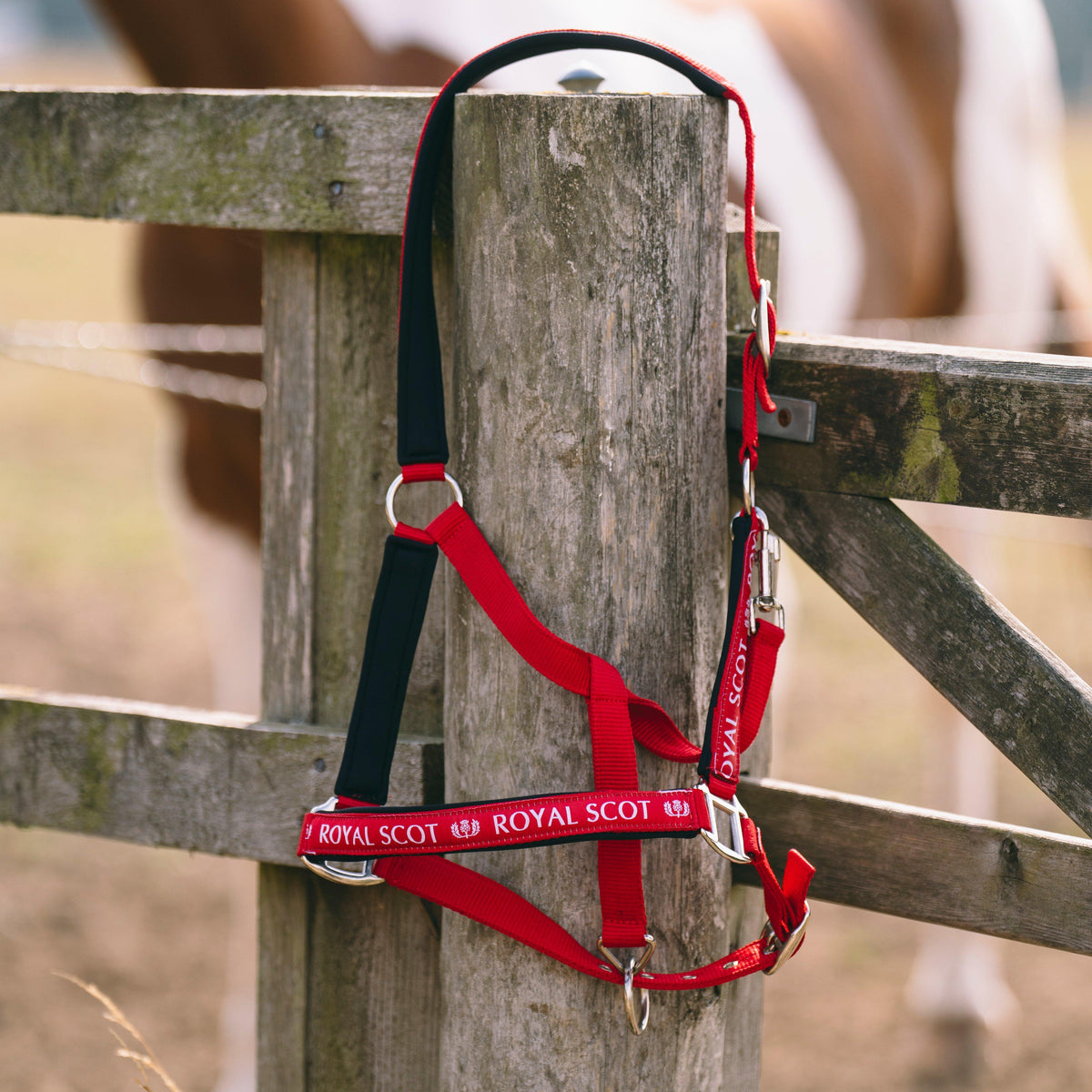 Logo Headcollar