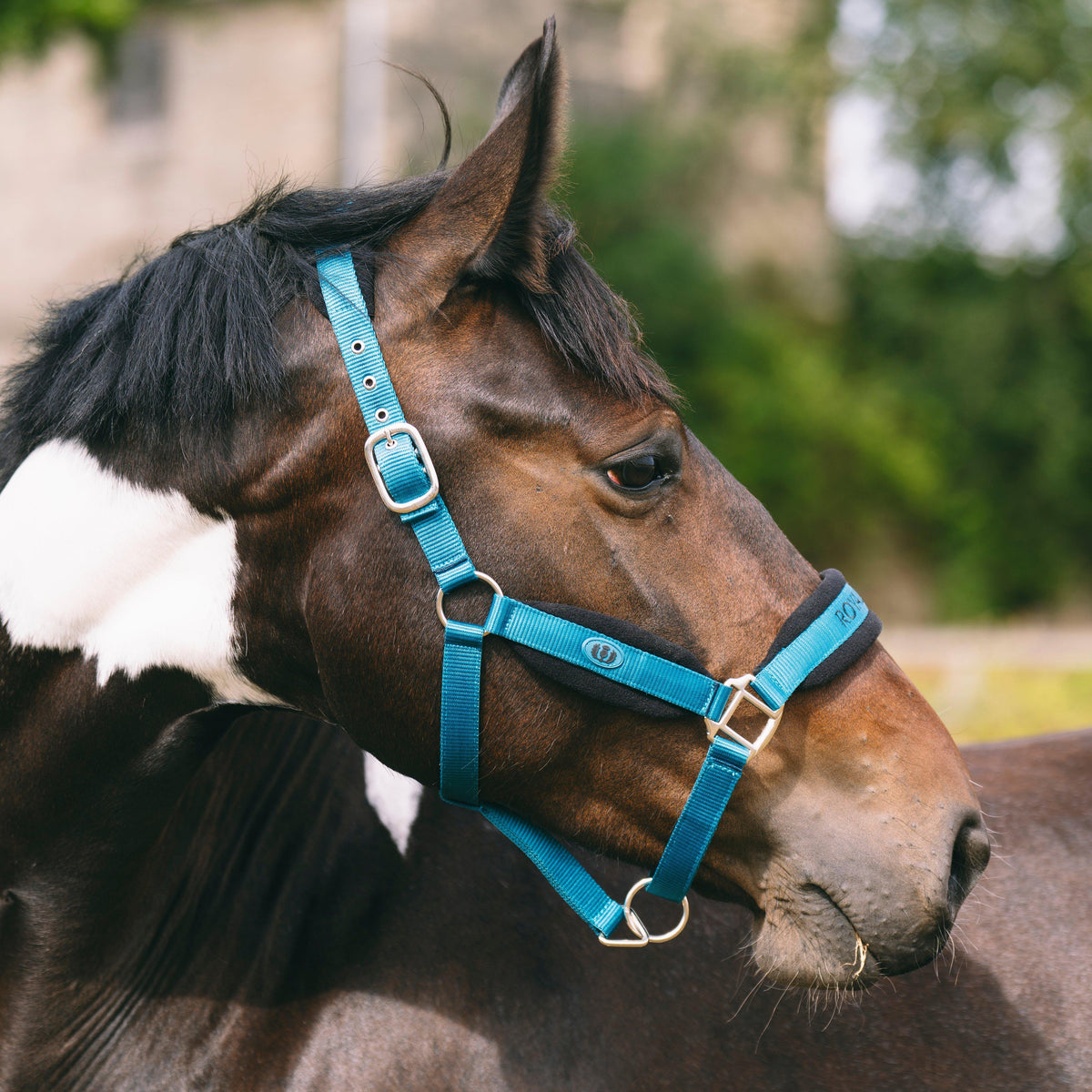 Fleece Padded Headcollar