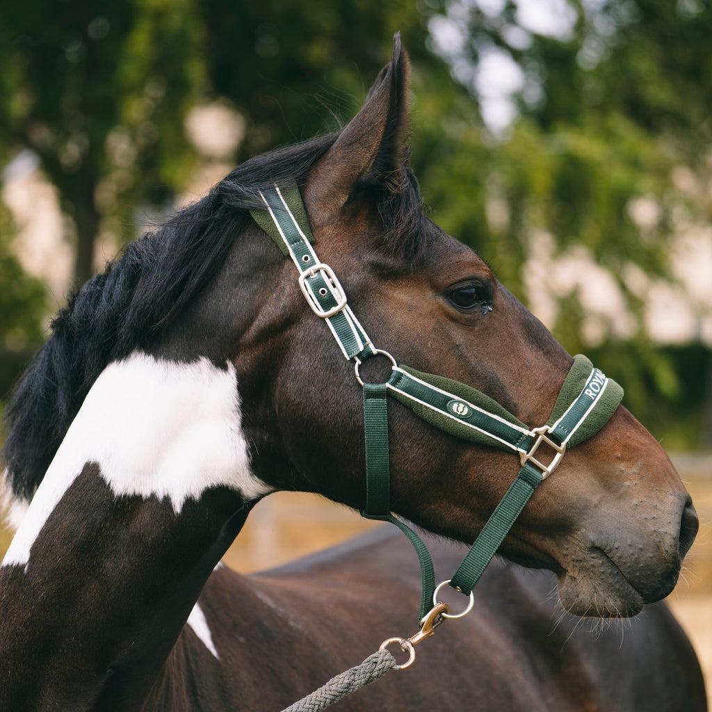 Fleece Padded Headcollar