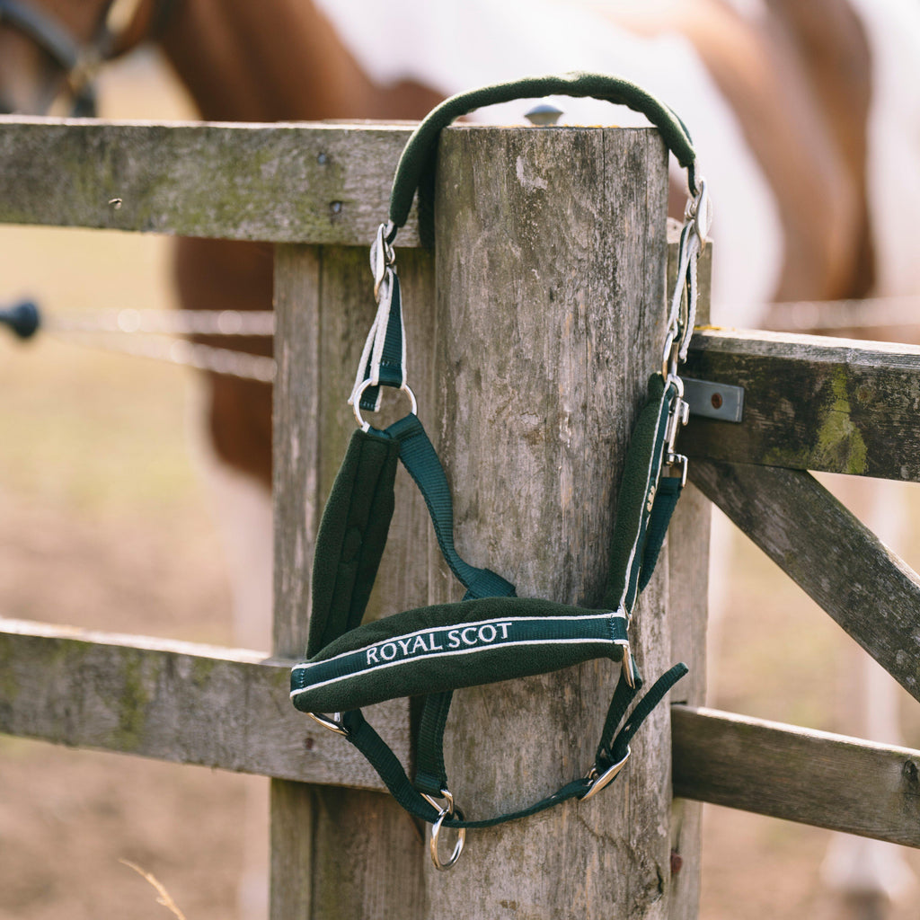 Fleece Padded Headcollar