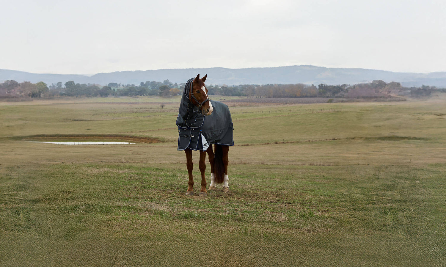 Naylors Equestrian | Tack & Saddlery | Equestrian Shop